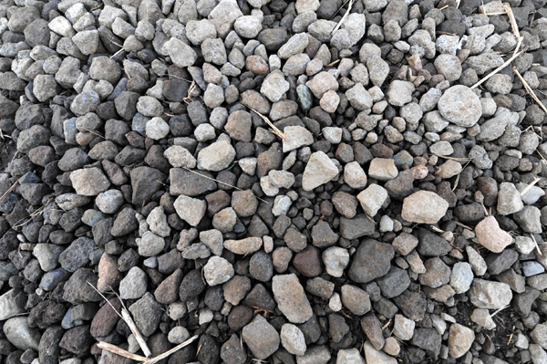 1221 550 9 DSC_2352.jpg